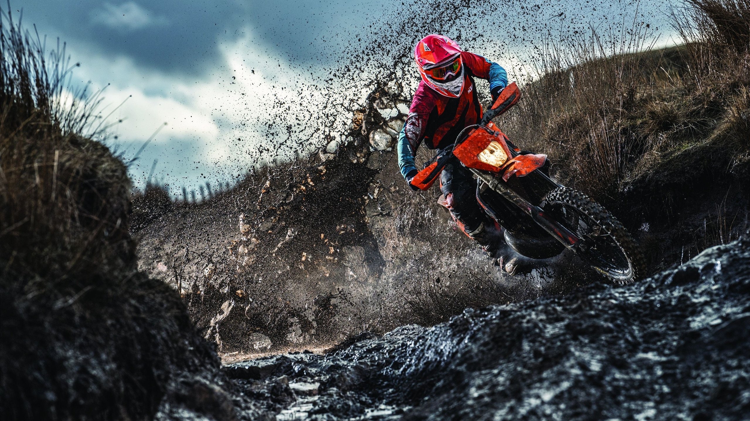 辽宁队稳稳拿下广东队，米切尔成为关键先生